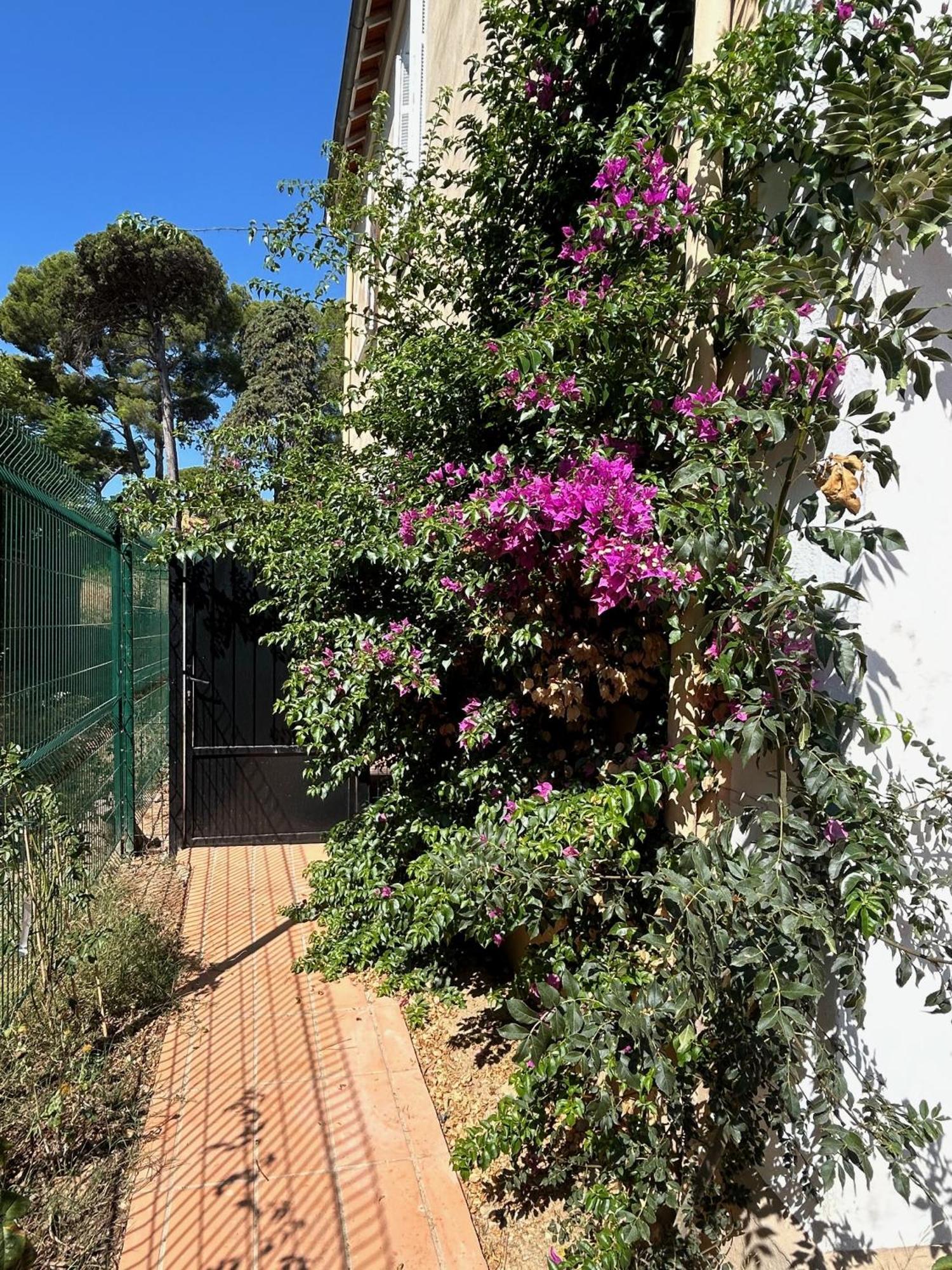 Les Lys 2 Apartment La Seyne-sur-Mer